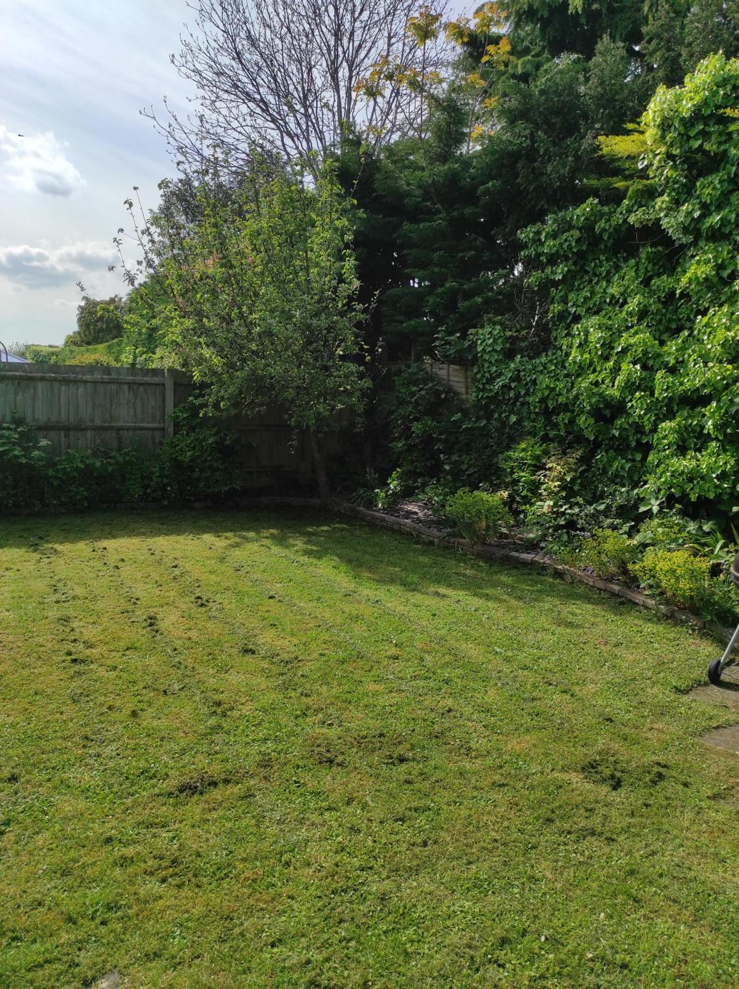 Villa Number 8 With Free Parking Bury St. Edmunds Exterior foto